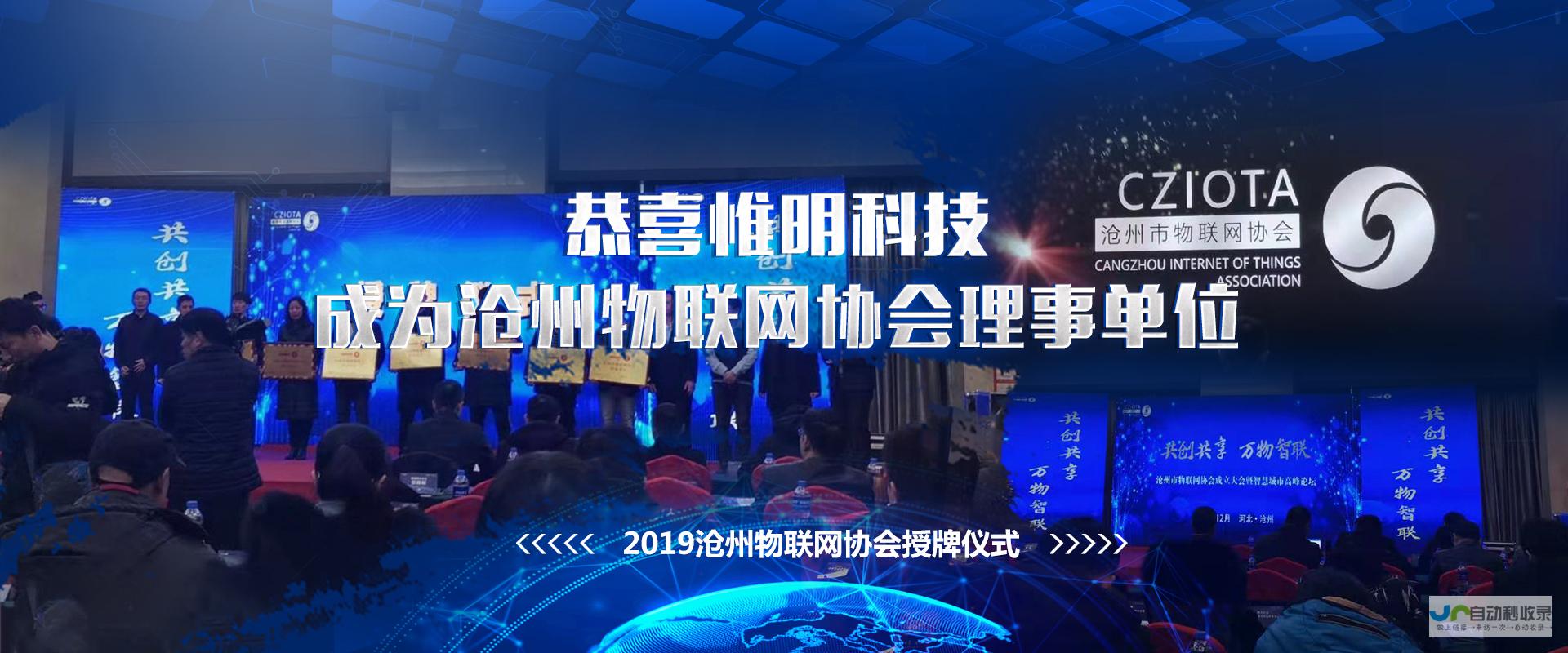 沧州专业网站定制：从设计到推广，全方位满足您的需求