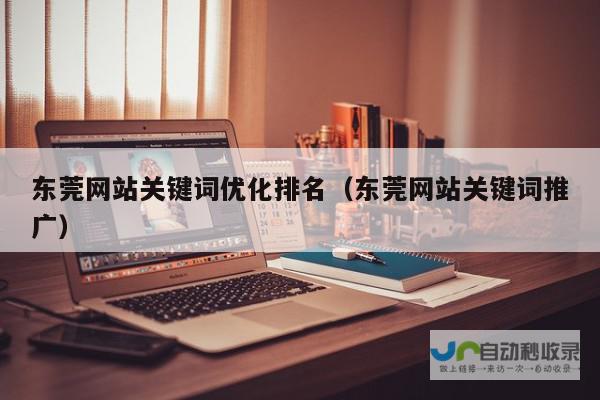 东莞关键词优化排名策略：精准定位客户需求，助力企业获得更多潜在客户