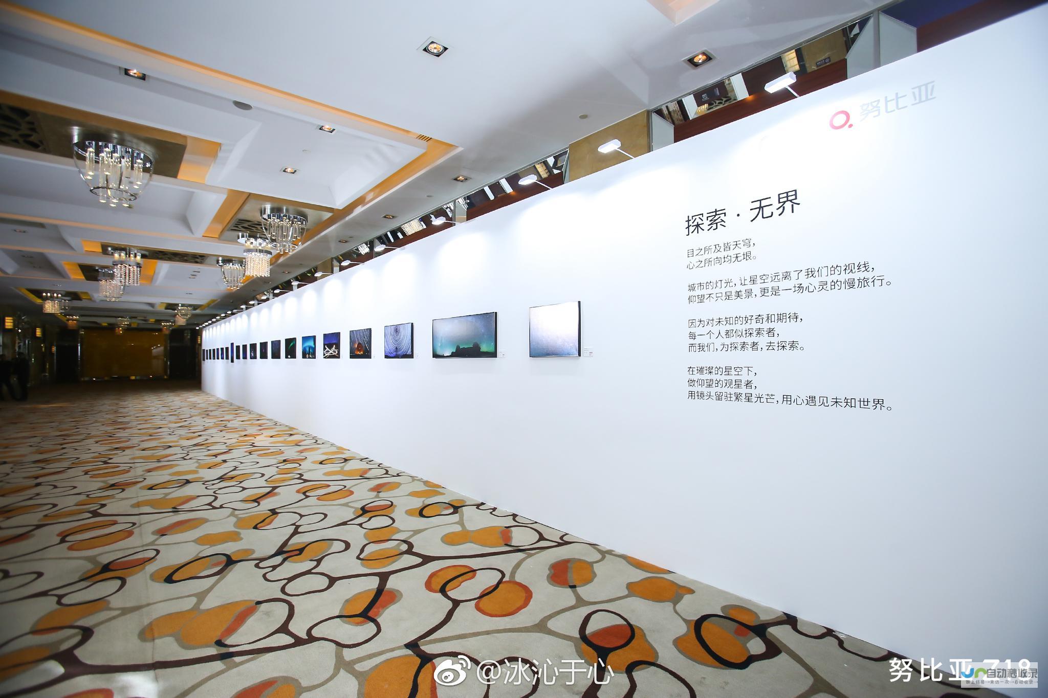 探索无极网的无限可能：深度解读无极网的价值与未来