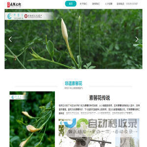 广州市元雅文化有限公司